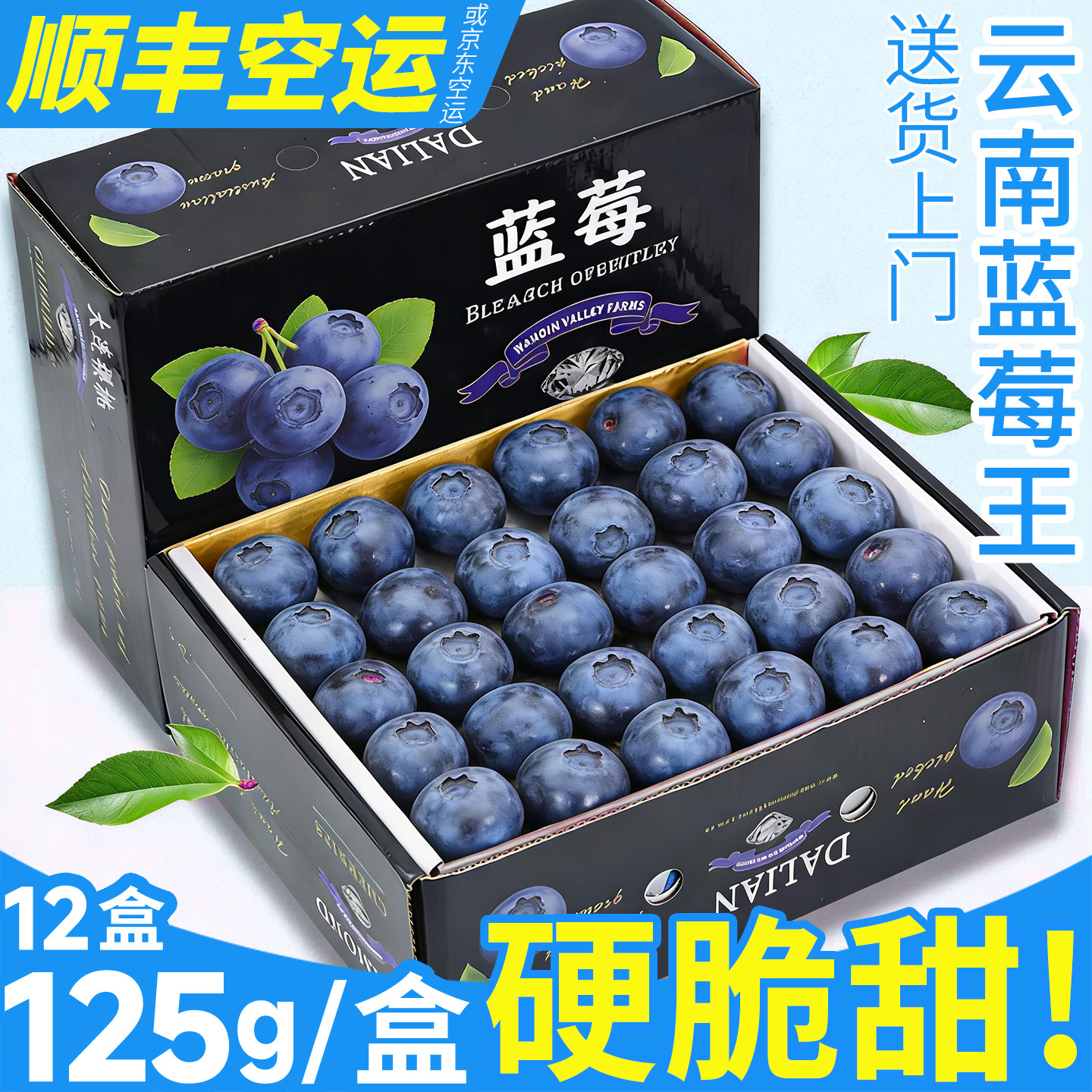 顺丰JD空运 云南蓝莓新鲜水果125g/盒香花怡大颗鲜果当季整箱包邮