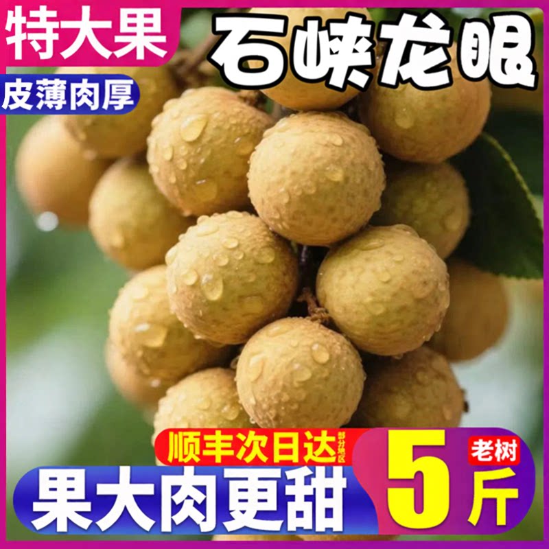 顺丰老树石硖龙眼5斤又甜又多汁