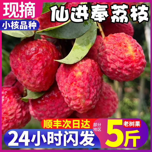 顺丰当天发送货上门仙进奉荔枝