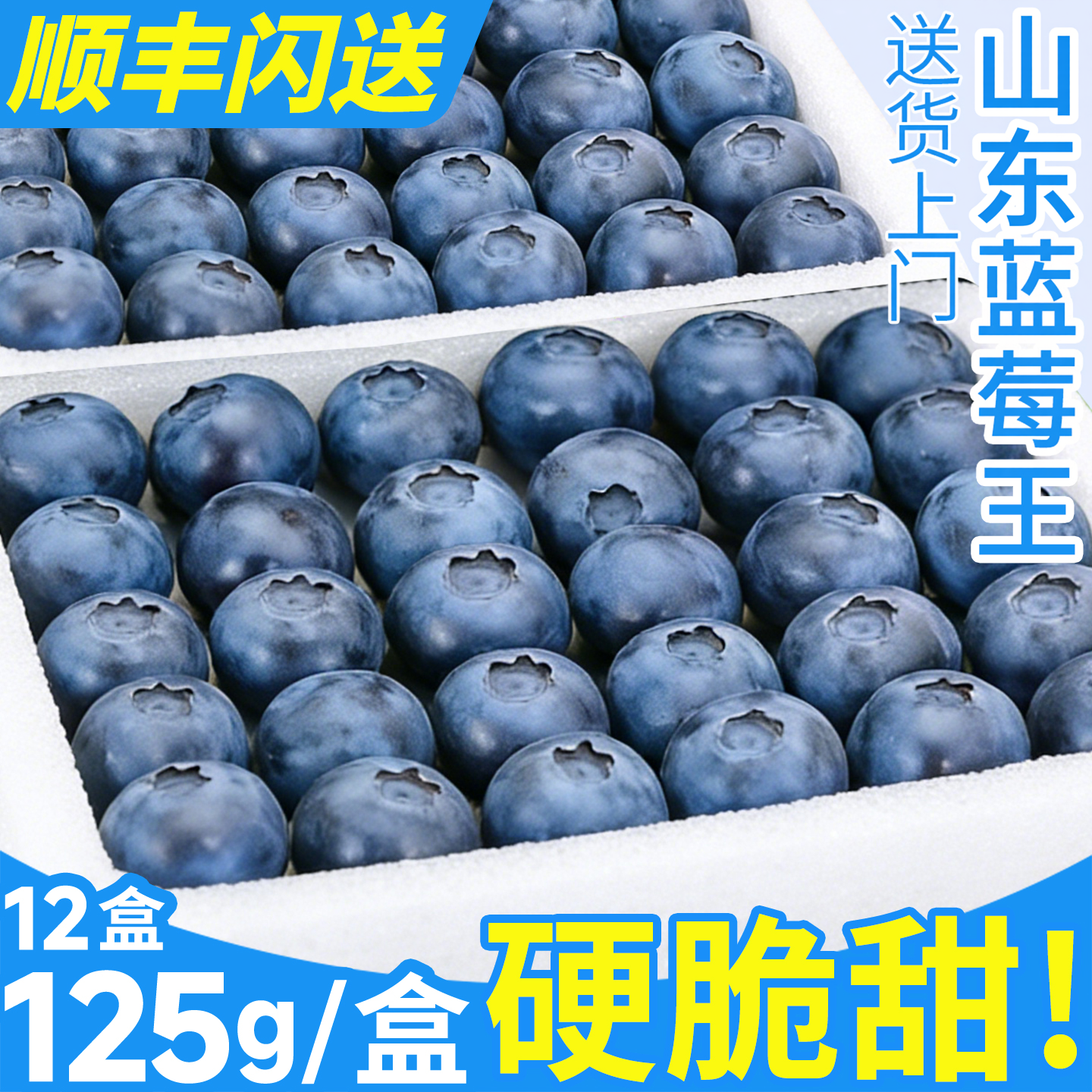 顺丰精品山东蓝莓新鲜水果125g/盒云香花怡大颗鲜果当季整箱包邮