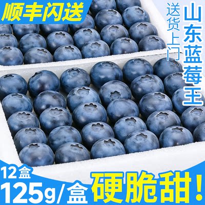 顺丰【125g/盒】蓝莓王很甜很脆