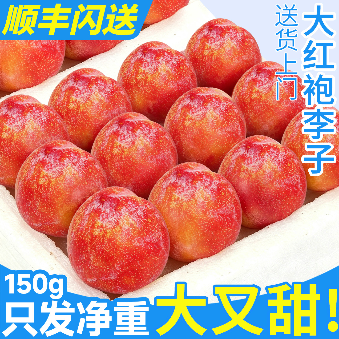 顺丰大红袍李！A+级老树果更甜蜜