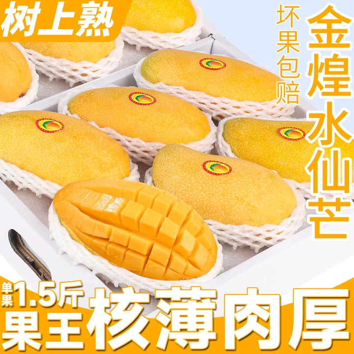 正宗广西金煌芒9斤新鲜水果当季现摘现发黄皮芒果王整箱包邮