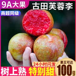 现货 5斤古田芙蓉李新鲜现摘脆甜李子三华水果应季孕妇整箱包邮