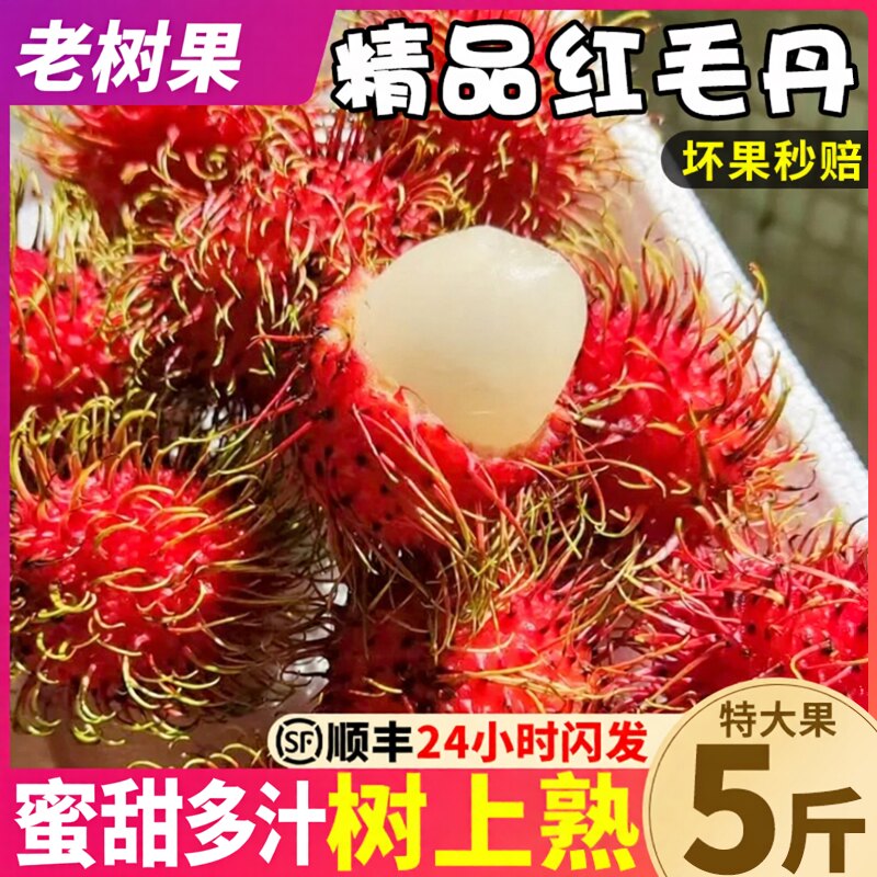 5斤精品海南红毛丹整箱顺丰包邮