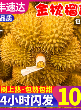 顺丰包四房！4-6房报恩金枕榴莲
