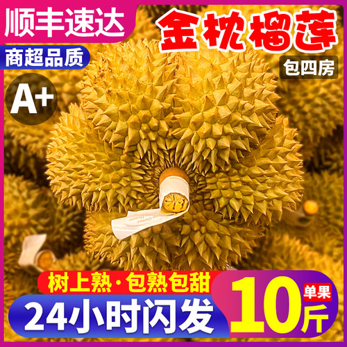 顺丰包四房！4-6房报恩金枕榴莲