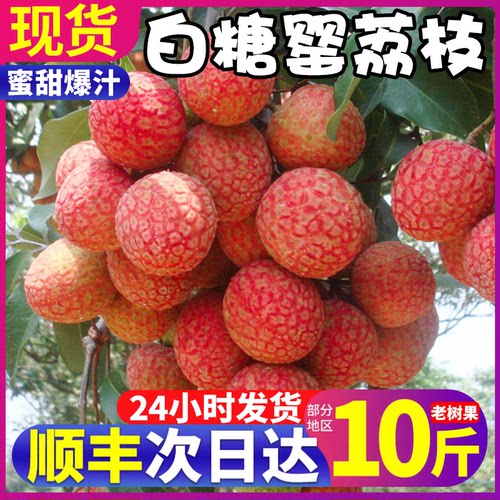 顺丰10斤！超甜的白糖罂荔枝榜1