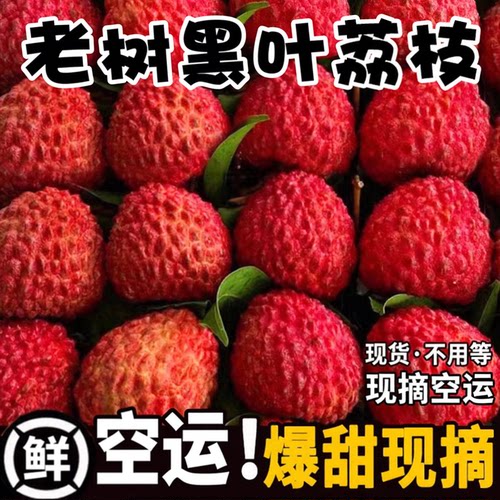 飞机空运！老树黑叶荔枝超甜爆汁