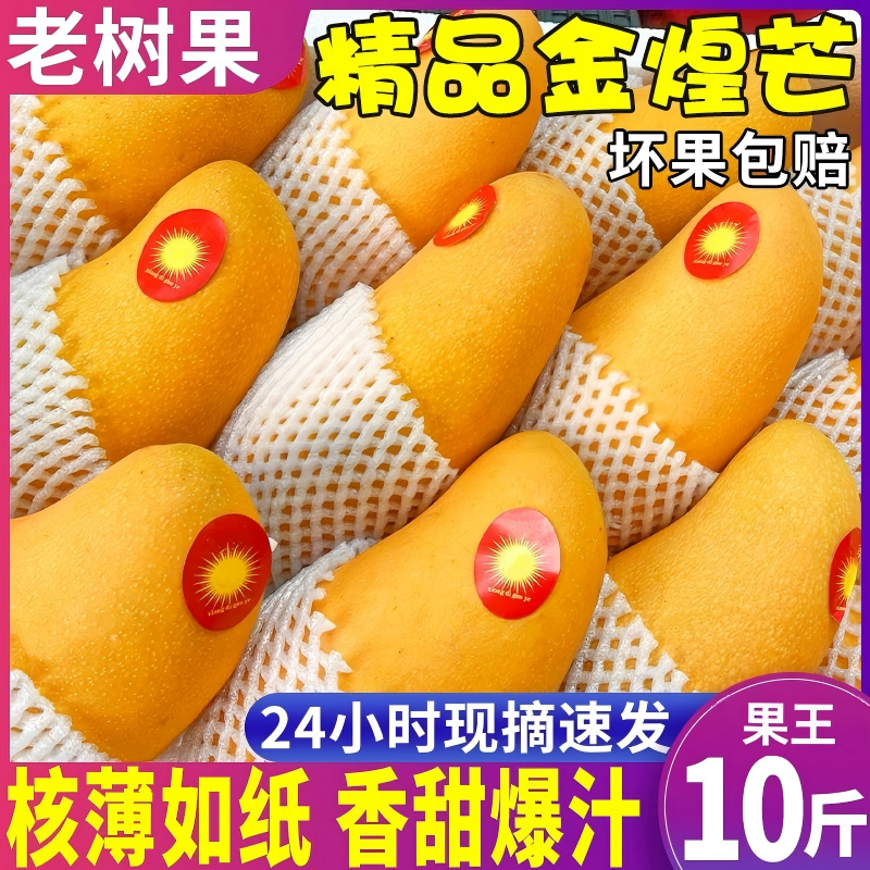 【闪发】正宗广西金煌芒新鲜水果当季现摘现发芒果王整箱包邮10