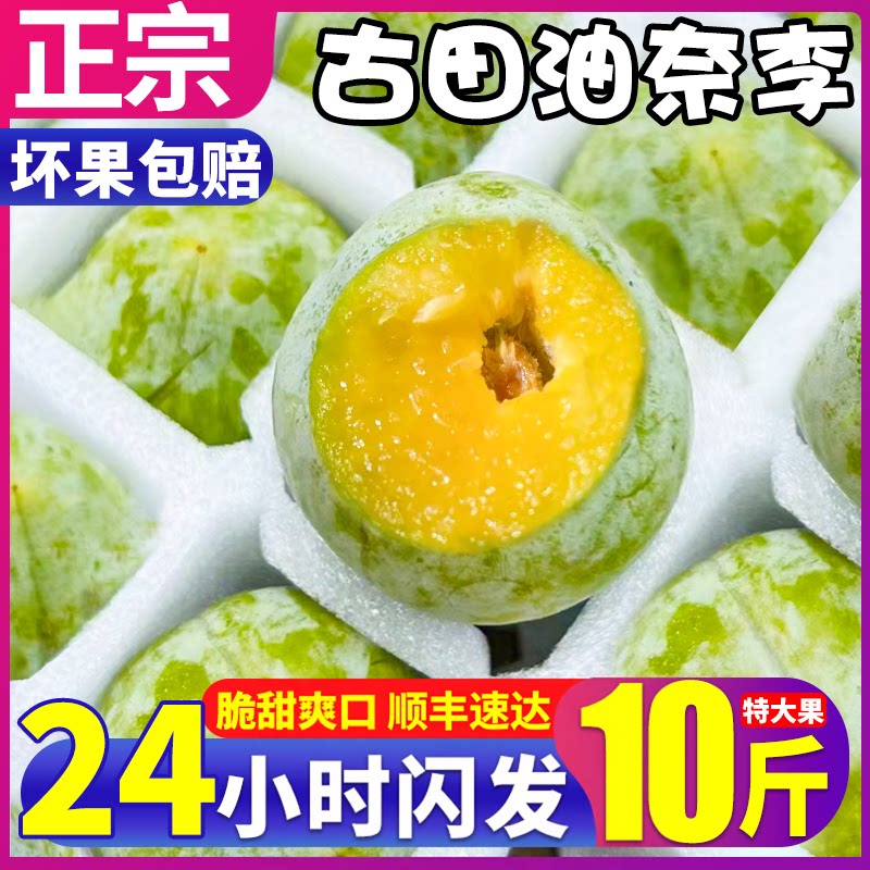 10斤正宗古田油奈李老树大果160g