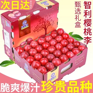 智利樱桃李5斤新鲜珠宝李应当季水果进口李子西梅恐龙蛋大果整箱3