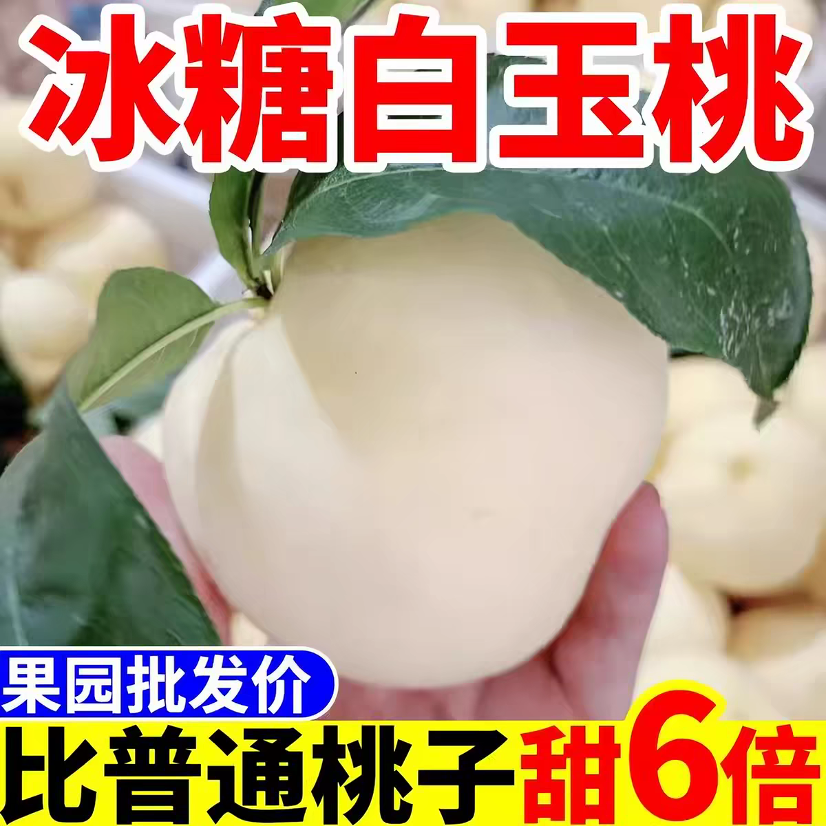2026正宗白如玉桃子新鲜水果当季现摘现发白桃白水蜜桃白桃