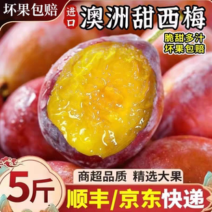 澳洲智利进口西梅李子新鲜水果当季脆甜进口大西梅鲜果孕妇水果