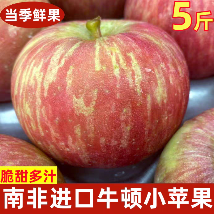 南非牛顿小苹果新鲜进口水果当季脆甜多汁孕妇小孩苹果脆甜可口