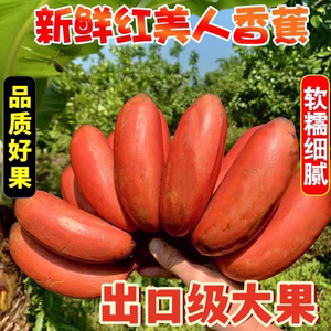 正宗红美人红皮香蕉新鲜当季自然熟小红香焦粉蕉芭蕉大果水果