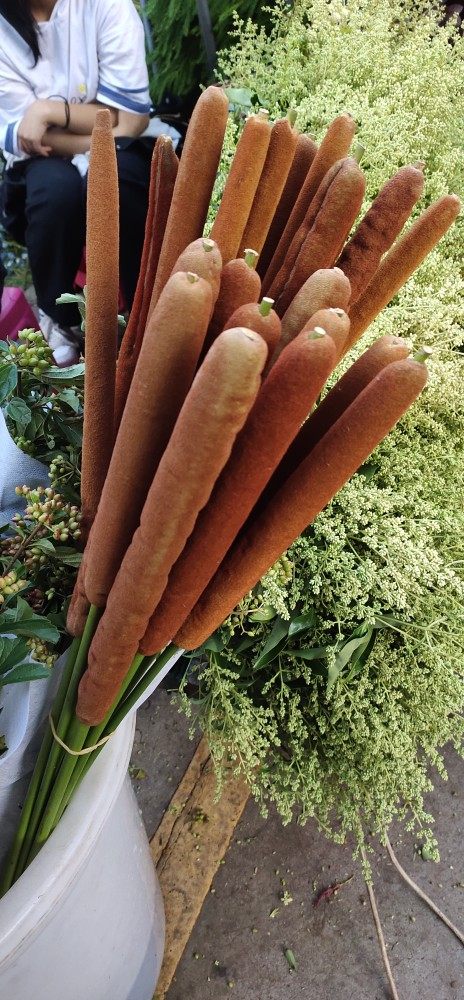 芦苇棒鲜切水养插花花艺造型昆明直发