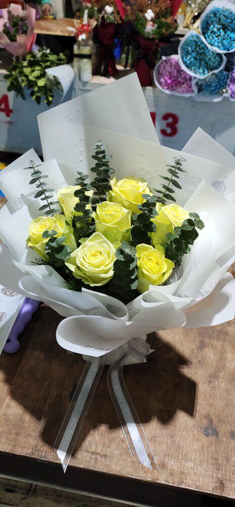 b级双子座绿色玫瑰花稀有花种20枝一把昆明直发