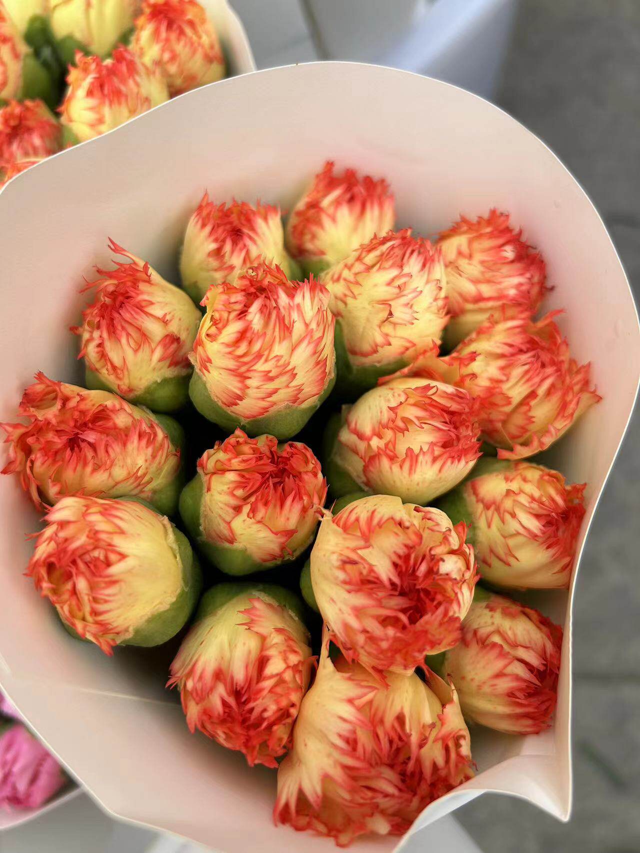 狂欢康乃馨鲜花水养家居办公室插花花束花艺造型插花花材昆明直发