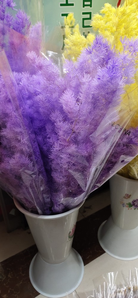 永生花蓬莱松干花永生花蓬莱松婚庆布置家居桌面装饰插花昆明直发