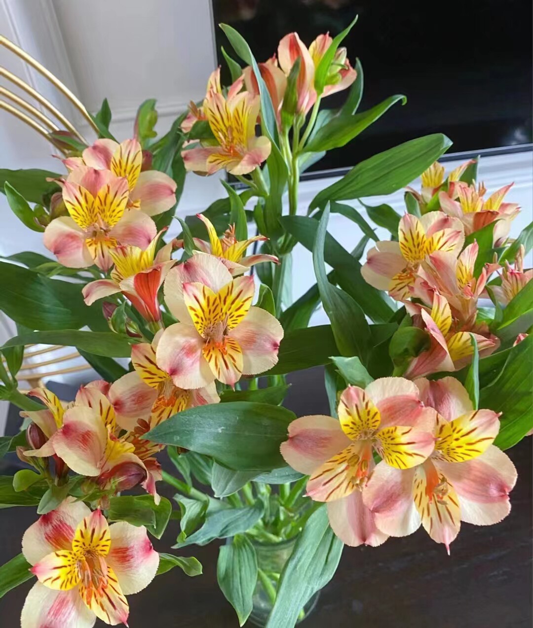 水仙百合鲜花水养插花花束花艺造型10枝一把昆明直发