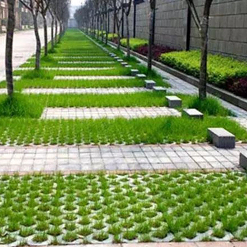 草籽草坪砖停车场草坪种子不修剪低矮耐踏草种植草砖