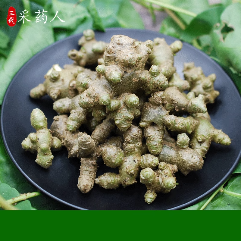藤三七种球植物苗食药用土田七种子根茎室外易活花卉爬藤绿植盆栽