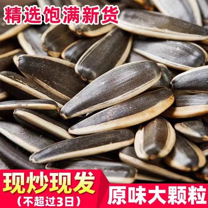 新货原味熟瓜子葵花籽炒货原味葵花瓜子内蒙特产新鲜熟休闲零食