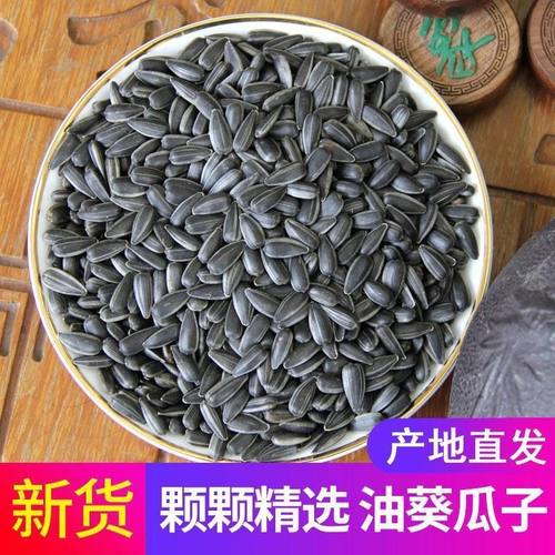 当季新货黑珍珠油葵小瓜子
