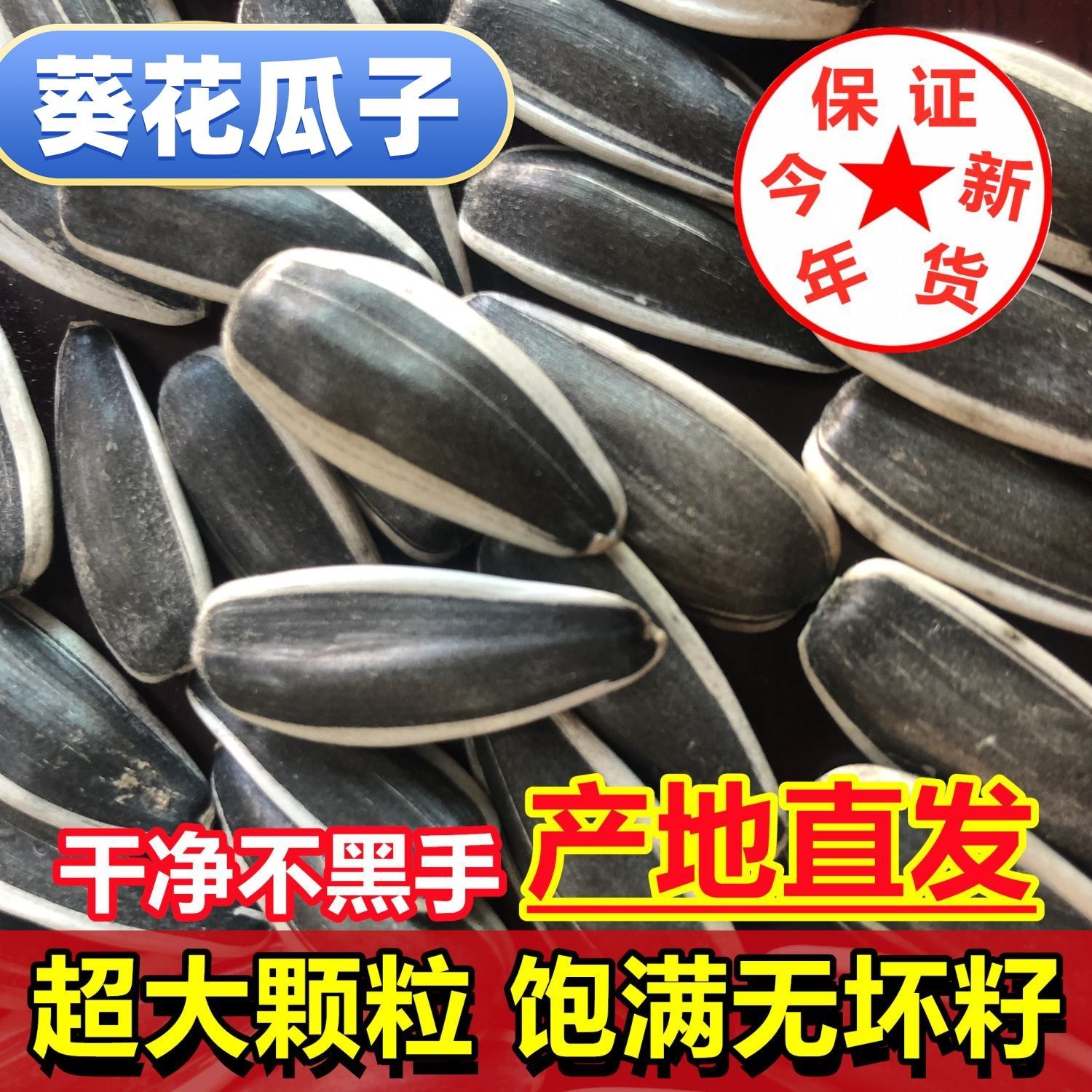 2026新货内蒙五原现炒熟原味瓜子葵花籽363大粒坚果年货零食5斤装