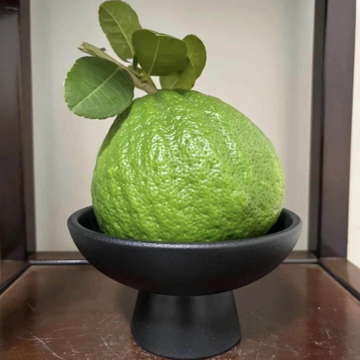 香橼果专用底座摆件陶瓷简约高级感观赏香橼佛手柑托盘花瓶花盆图片