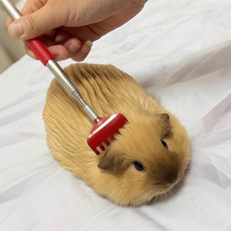 【今天犁了半亩豚鼠】小耙子宠物梳毛抓痒伸缩刷猫咪狗狗痒痒挠抓