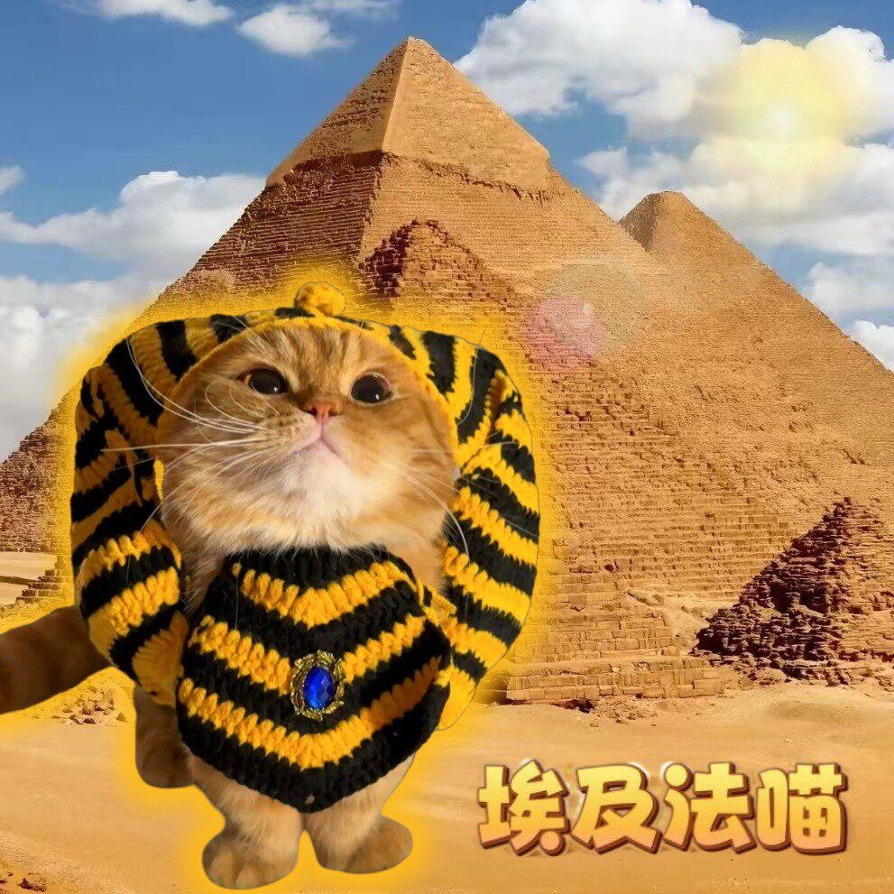 猫咪古埃及法老帽子可爱搞笑针织帽小狗衣服套装万圣节宠物cos服