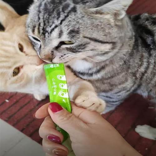 好货嘻适宝猫条长肉湿粮成猫幼猫易吸收营养补水猫条猫零食湿粮包