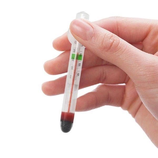 Floating Thermometer Temperature Floating Thermometer with