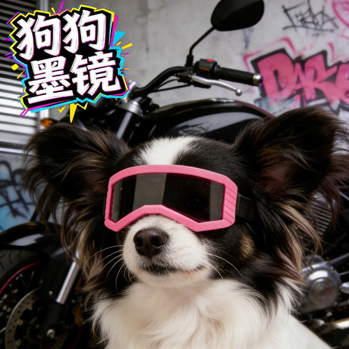 蝴蝶犬专用狗狗护目镜小型犬墨镜小狗眼镜防风镜配饰头饰宠物骑行