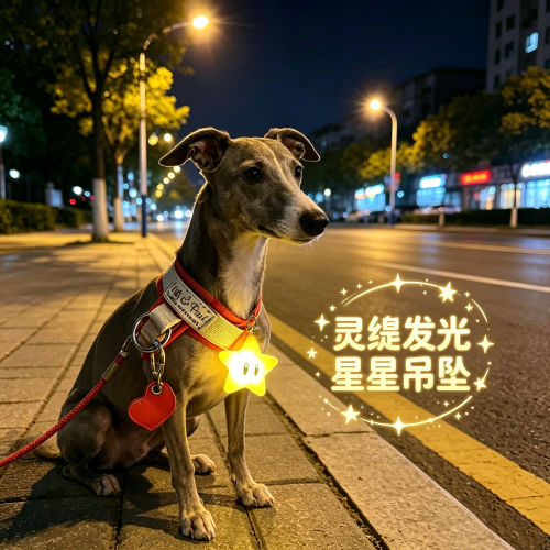 灵缇专用狗狗夜间发光吊坠项圈夜晚发光灯防走失遛狗夜行灯星星灯