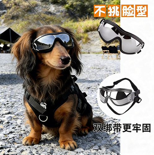 腊肠犬专用狗狗护目镜宠物墨镜小狗防风眼镜配饰小型犬太阳镜防风