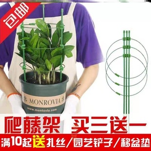 防腐藤蔓固定器铁丝圈爬藤花架番茄支架攀爬盆景家庭铁圈种菜花枝