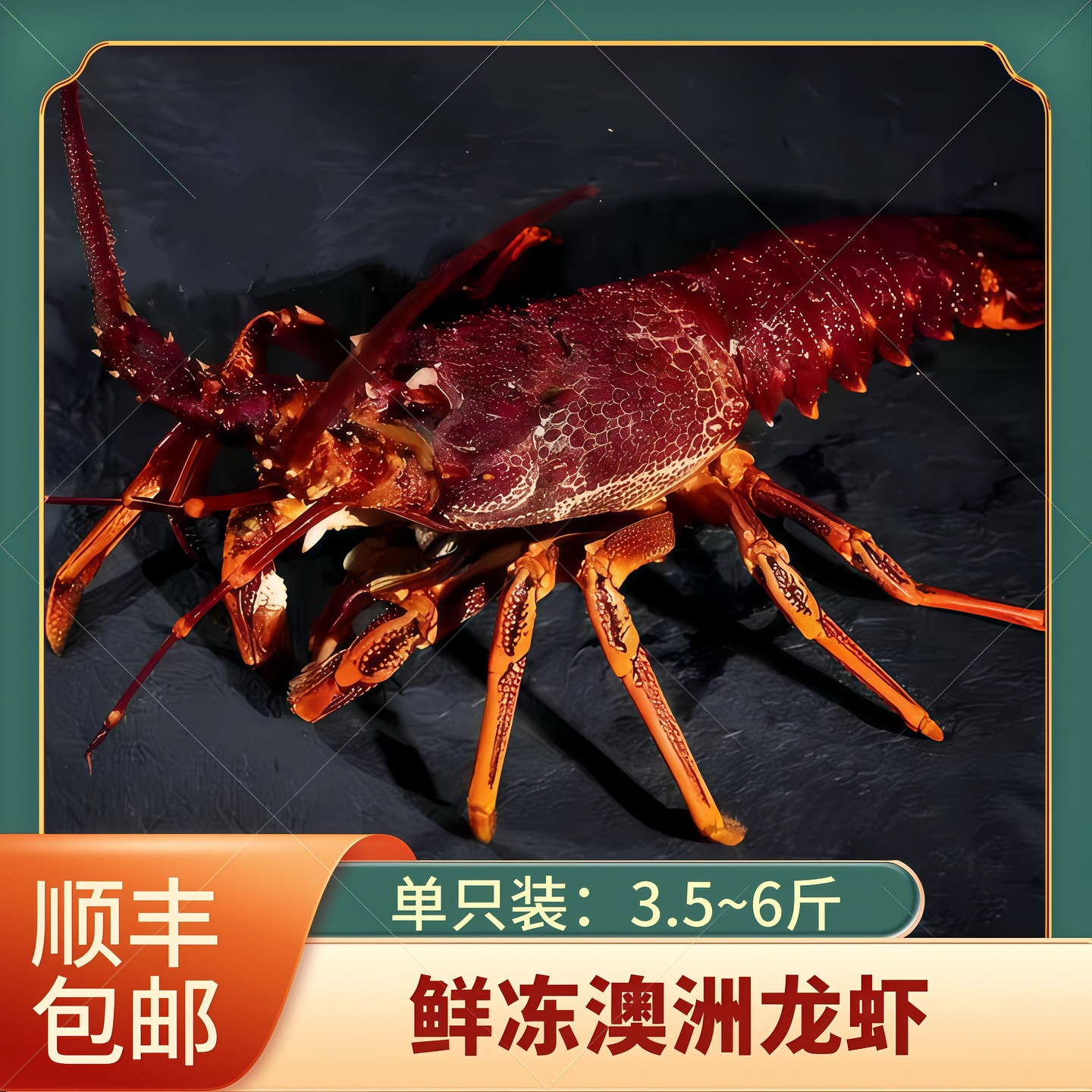 新西兰澳龙鲜冻澳洲龙虾海鲜大澳龙超大水产3~6斤一只装顺丰包邮