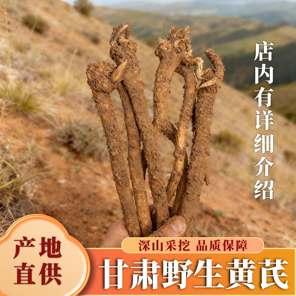 甘肃道地黄芪正品无硫多形态可选