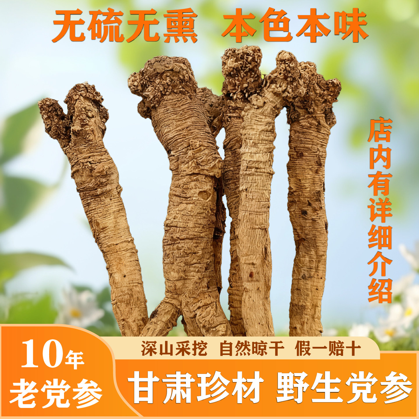 正宗深山野生党参营养高假一赔十