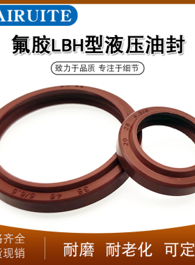 氟胶LBH18/20/22/22.4/23.5*26/28/30/30.4/31.5*6   液压防尘圈