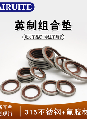 316不锈钢氟胶英制组合垫/JB982组合垫圈垫片密封圈/骨架油封