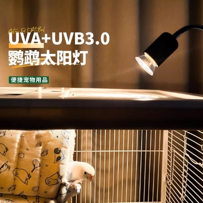 鹦鹉保温加热灯恒温保取暖芦丁鸡玄凤牡丹小太阳鸟笼专用过冬神器