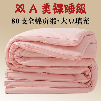 A类全棉贡缎提花大豆被子夏季空调被夏凉被春秋棉被冬季加厚保暖