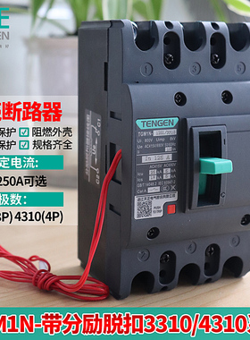 天正TGM1N塑壳断路器3310消防分励脱扣器电表费控远程切断空开关