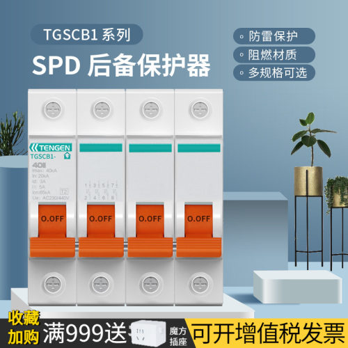 天正TGSCB1电涌浪涌后备保护器