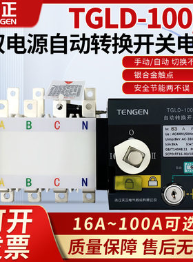 天正TGLD-100/4双电源自动转换切换开关100A 63A隔离型4P三相PC级