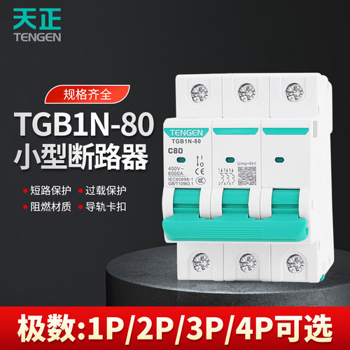 天正TGB1N-80空气开关